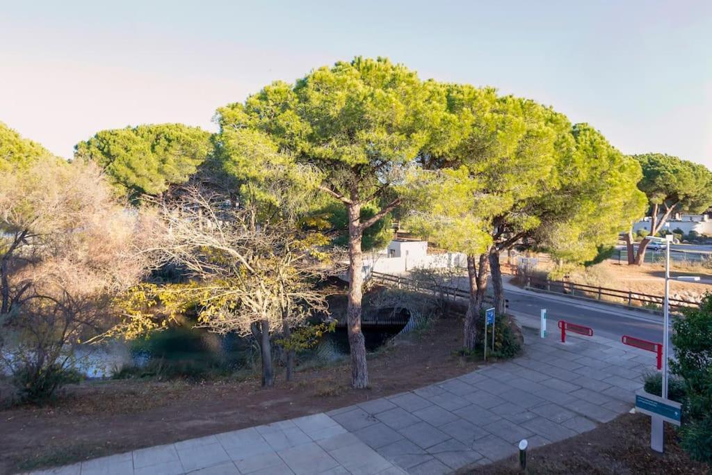 Chez Sebastien - Paisible Studio Au Bord D'Un Lac Avec Parking La Grande-Motte Exterior foto
